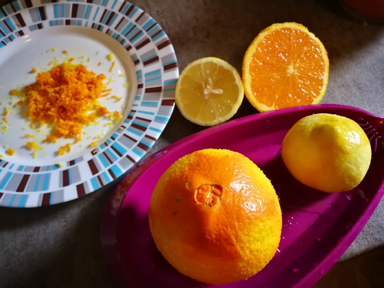 Rendane kore limuna i narandže