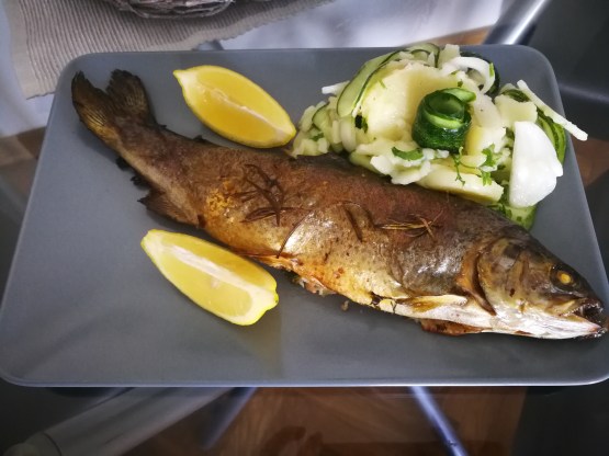 Servirana sa krompir salatom