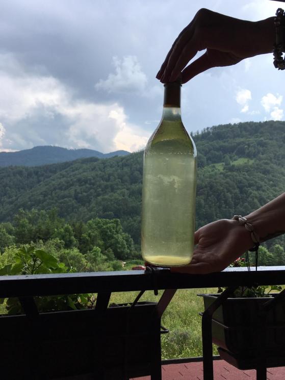 mirini_zalogajcici_Golija_