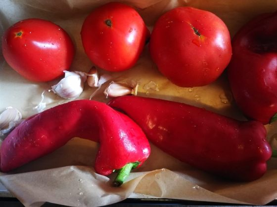 mirini_zalogajcici_potaz od paprika_1