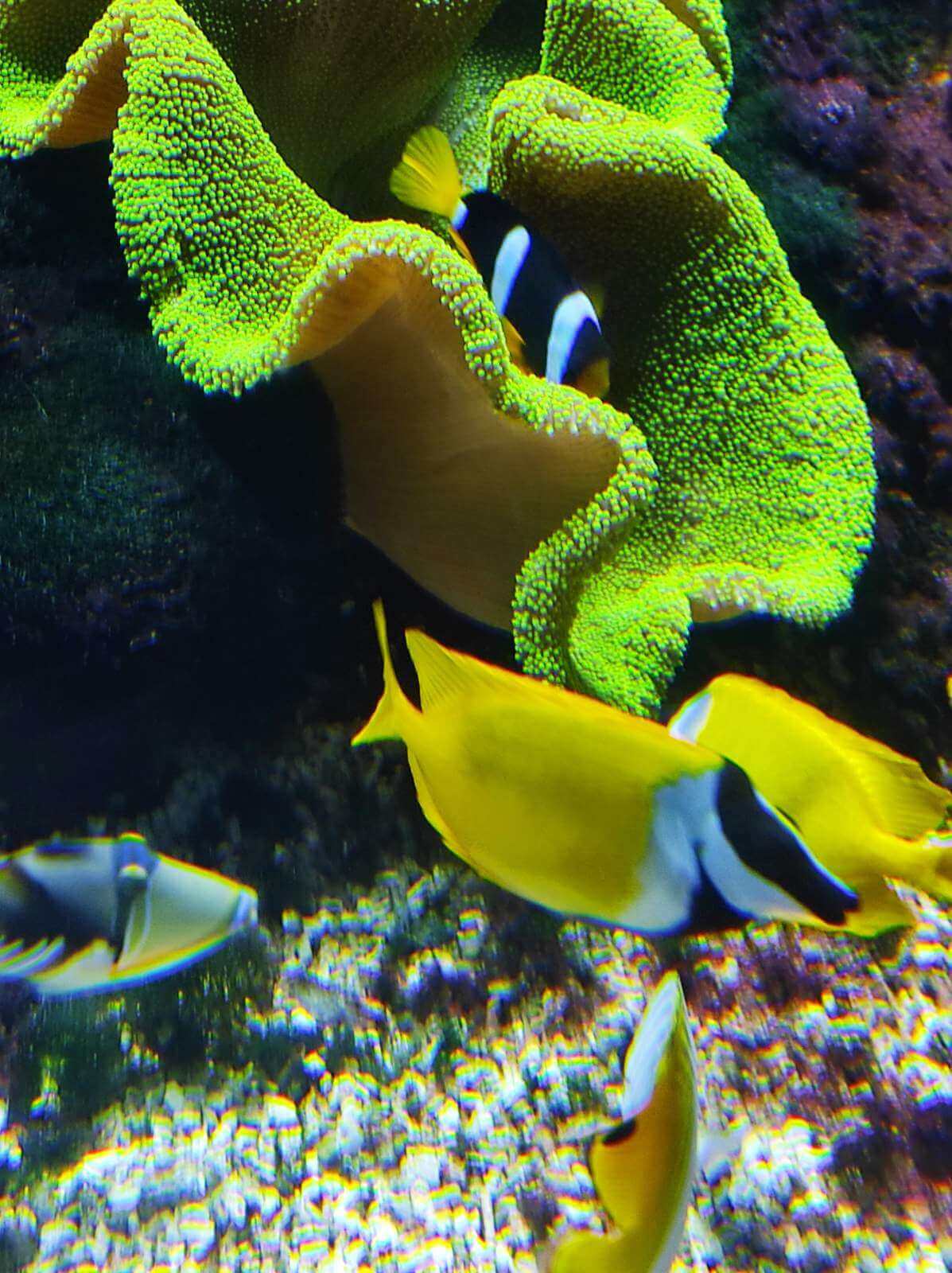 IMG-4c17418da7e6c059dce97a540bcbab96-V