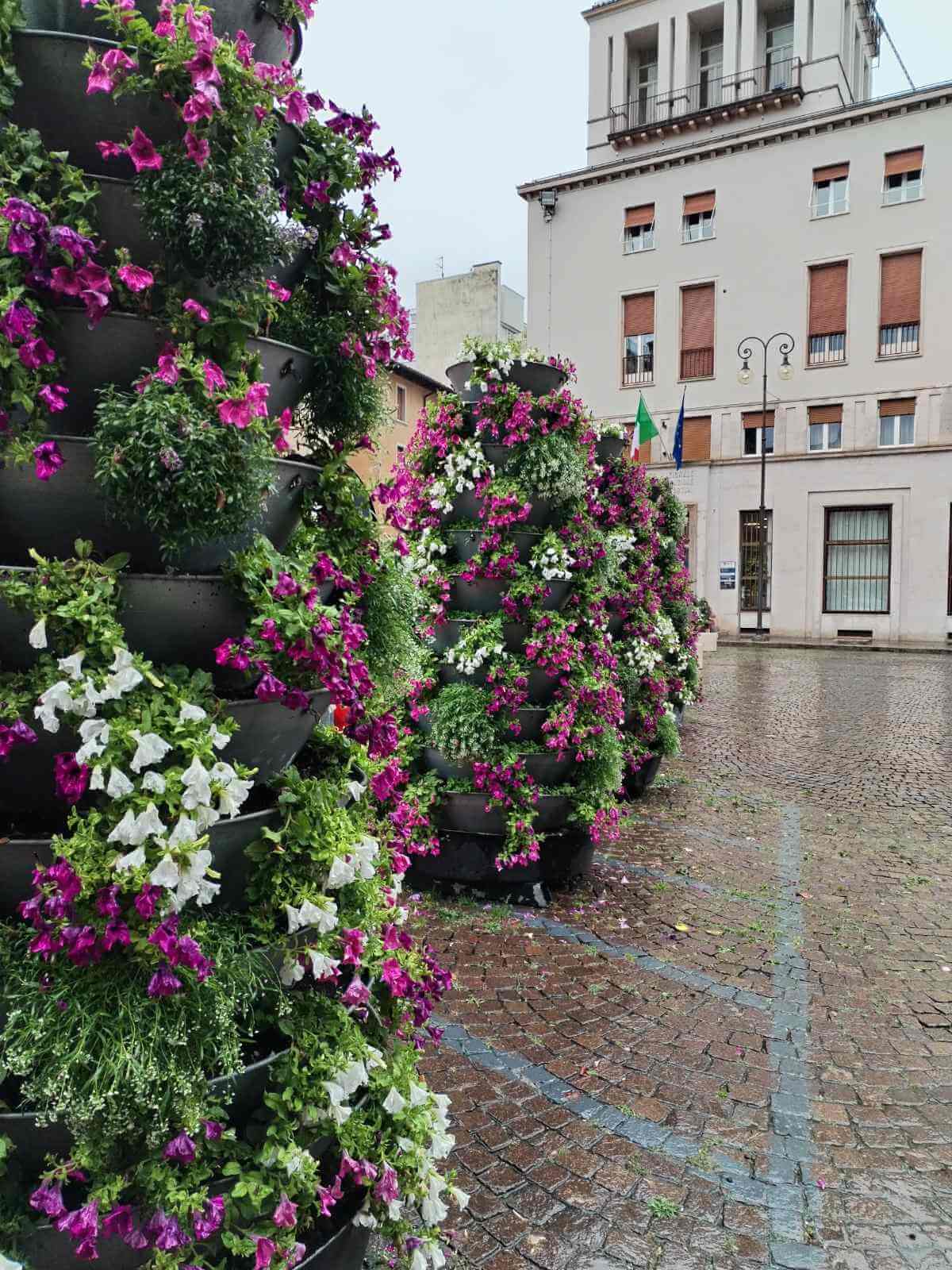 IMG-cdce347dfe5e2fd054ddacf8fe3b61d0-V