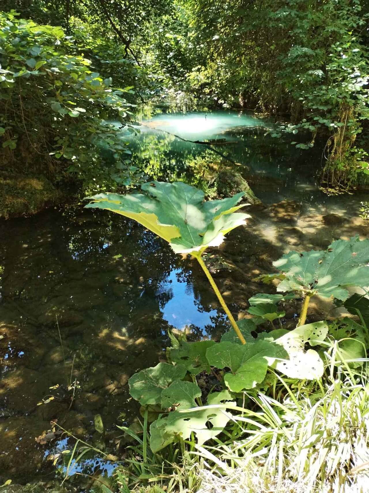 IMG-e3789f2324e649278b0f8bddebada112-V