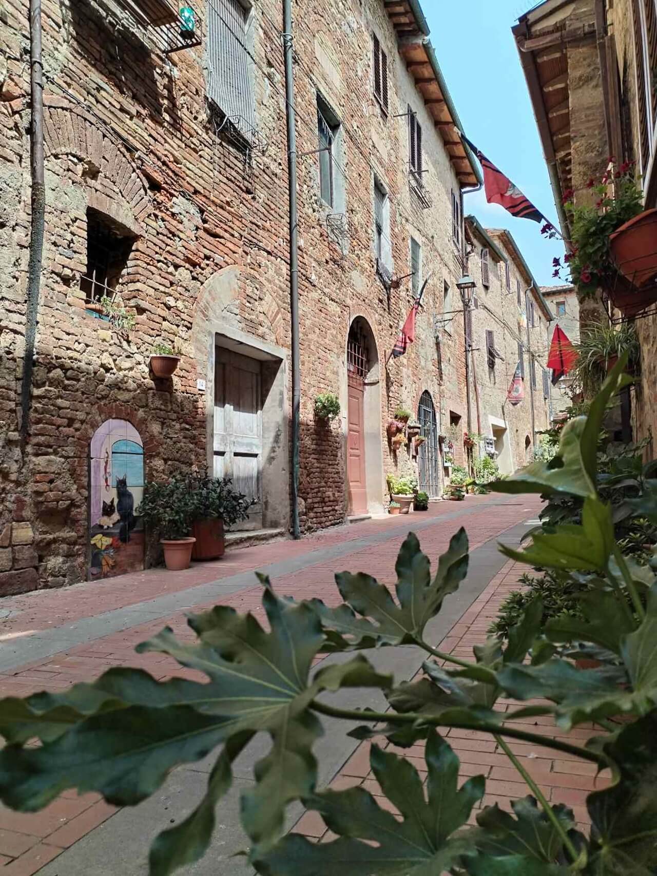 IMG-f7851497791993bf1a25da645df9fb4c-V